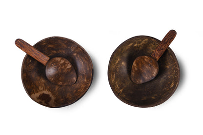 Coconut Shell Bowls & Spoons Set